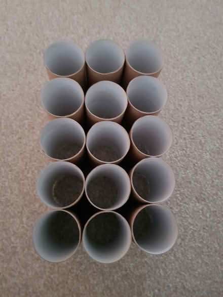 Photo of free Empty Toilet Rolls Tubes (North Abingdon, OX14) #2