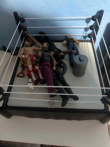Photo of free Wrestling figures and ring (St Giles) #1