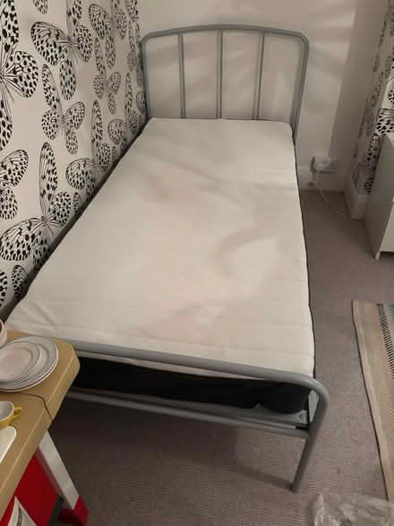 Photo of free Single bed (Addiscombe) #2