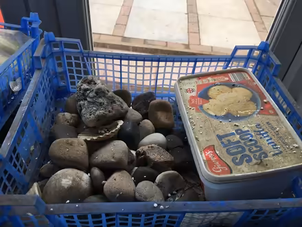 Photo of free Aquarium items (B45) #3