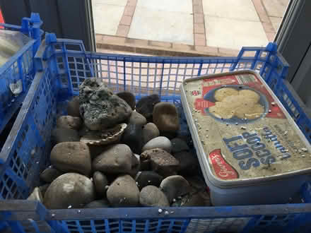 Photo of free Aquarium items (B45) #3
