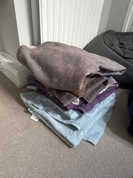Photo of free Towels (for pet use) (Hillsborough S6) #1