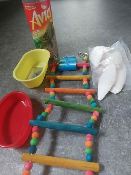 Photo of free Budgie goods (Charlton SE7) #1