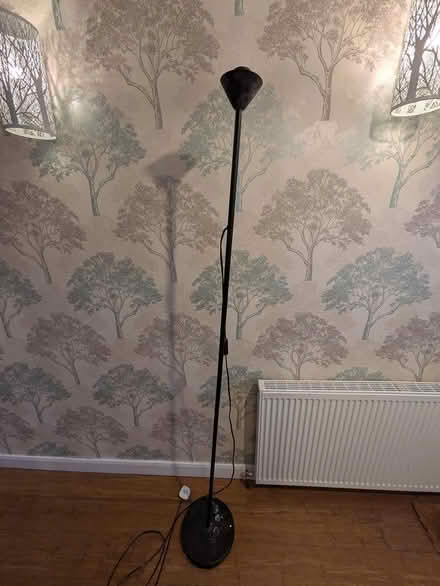 Photo of free Floor lamp (West Wickham BR4) #3