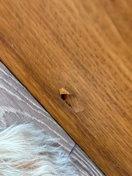 Photo of free Superking Size Bed & Mattress (Aston, S26) #4