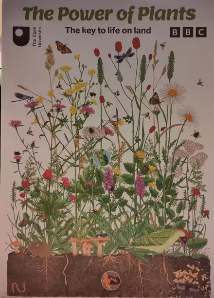 Photo of free BBC/OU nature posters (Claverton BA2) #2