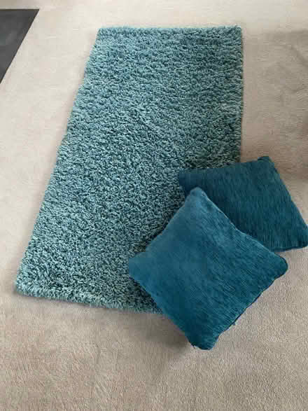 Photo of free Rug very good condition (Bosham) #2