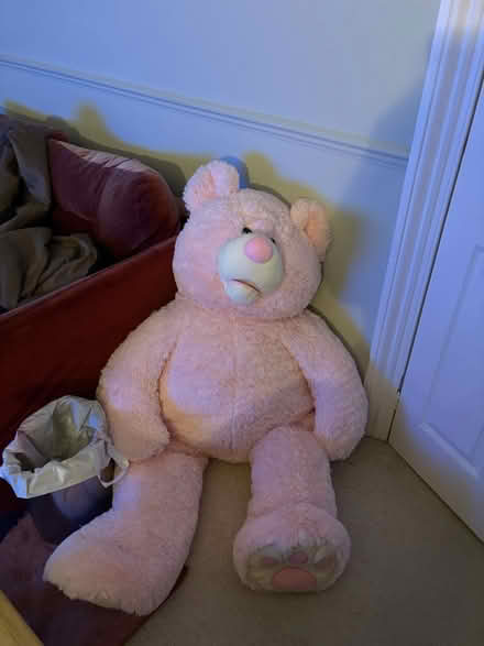 Photo of free Large pink teddy bear (Loughborough Junction SE5) #1