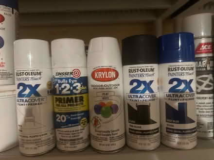 Photo of free Crafting paint (Winchester MA) #2