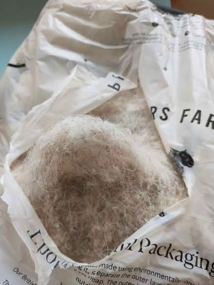 Photo of free Sheeps wool (Kidlington OX5) #1