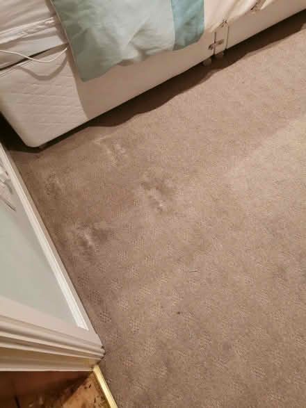 Photo of free Carpet (Brandwood End B14) #3