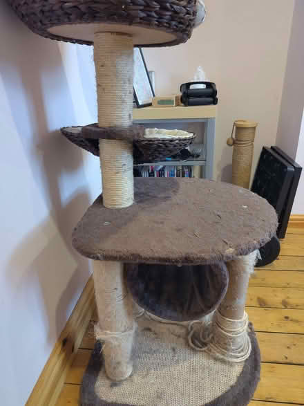 Photo of free Cat Tree (Ifton Heath SY11) #2