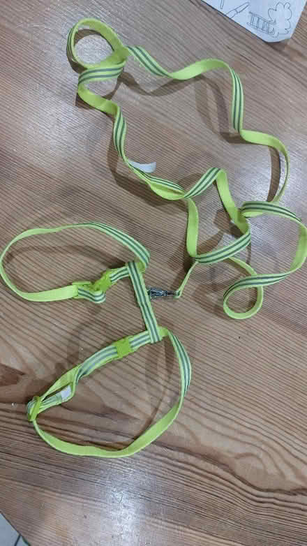 Photo of free 2 x Cat harness and lead (Eastergate PO20) #1