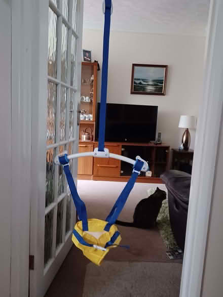 Photo of free Door Baby Bouncer (Causeway End MK43) #1