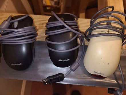 Photo of free Computer mice (Stourport on Severn DY13) #2