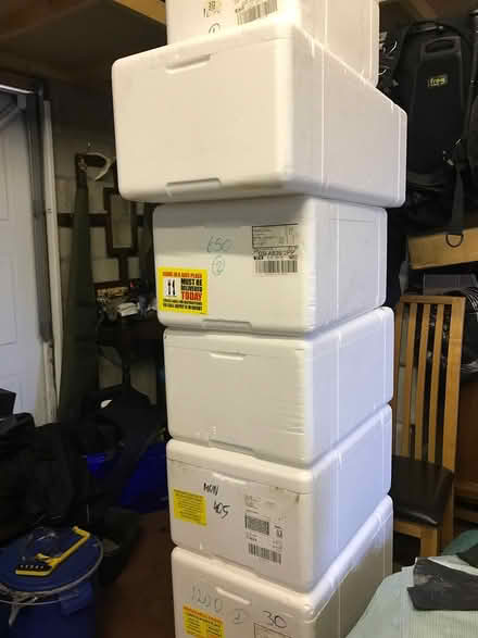 Photo of free Insulated polystyrene boxes (Stonehaven) #1
