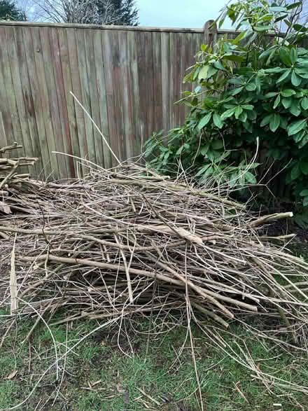 Photo of free Kindling, wood, logs (Tunbridge Wells TN2) #2