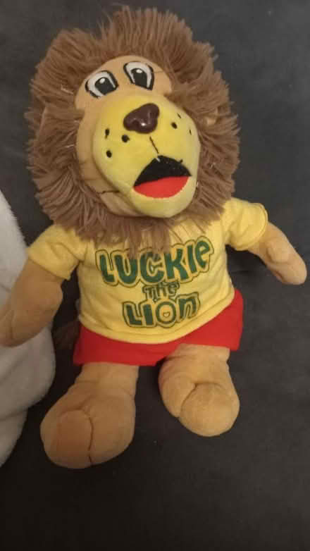 Photo of free Luckie the lion (Loughborough LE11) #1