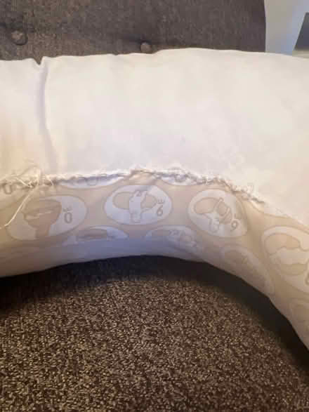 Photo of free Boppy Baby Pillow (Falls Church) #2