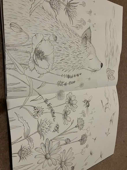 Photo of free Colouring in book (North chichester) #2