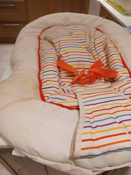 Photo of free Bouncy cradle (Causeway End MK43) #2