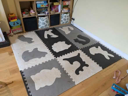 Photo of free Hakuna Matte Play mats. (Colinton EH13) #1