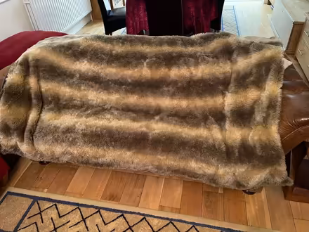 Photo of free 2 x Faux Fur Throws (Sanderstead CR2) #2