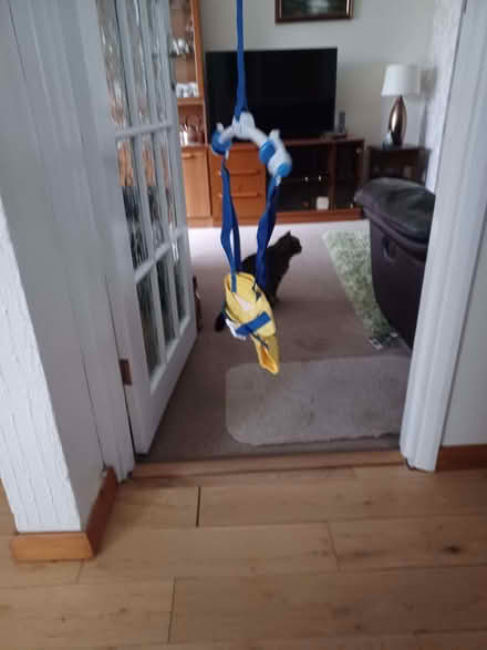 Photo of free Door Baby Bouncer (Causeway End MK43) #2