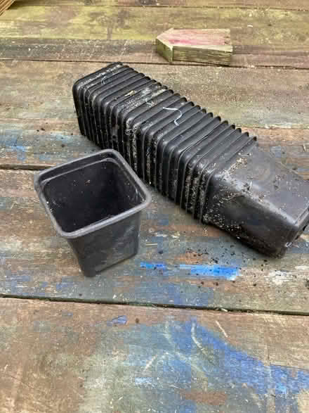 Photo of free 3” plant pots (Shelton Lock DE73) #1