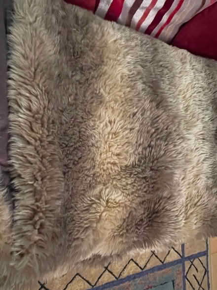 Photo of free 2 x Faux Fur Throws (Sanderstead CR2) #4