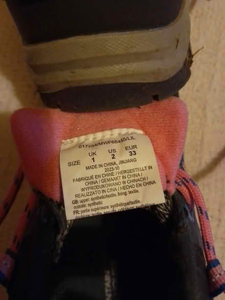 Photo of free Trainers size 1 Eur33 (ME16 off Buckland Hill) #2