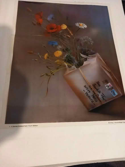 Photo of free Photographic prints on film (IP1) #2