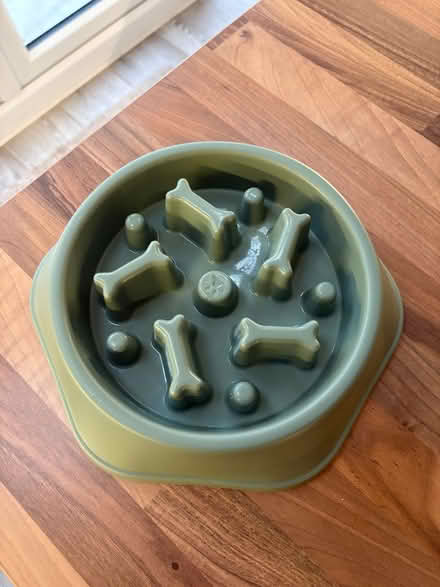 Photo of free Pet food bowl (Bishops Tachbrook CV33) #1