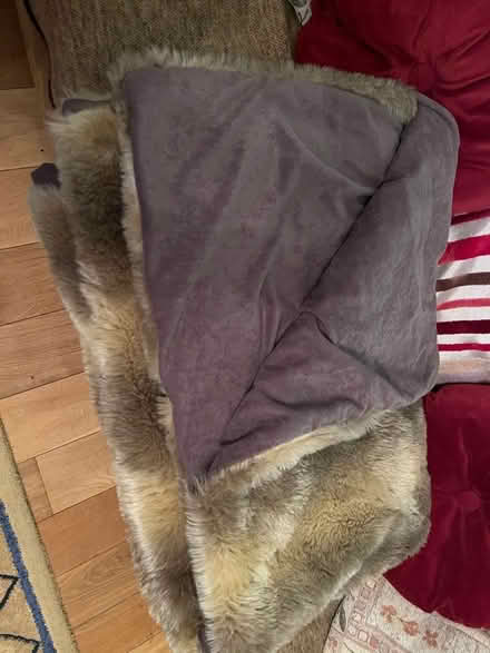 Photo of free 2 x Faux Fur Throws (Sanderstead CR2) #3