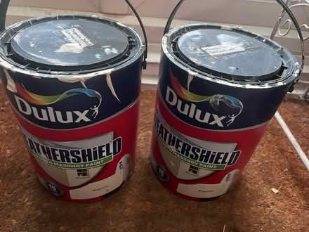 Photo of free used external magnolia paint (Eltham SE9) #1