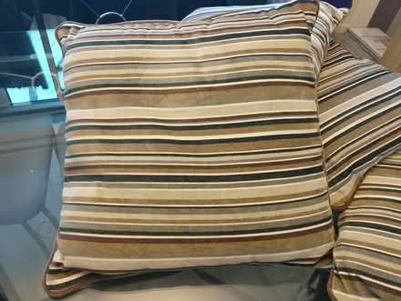 Photo of free Cushions (Denmead PO7) #1