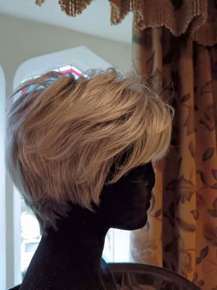 Photo of free Ladies, short wig Grey with darker roots (Ebley GL5) #1
