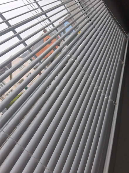 Photo of free 4 White Venetian Blind (Ely CF5) #1
