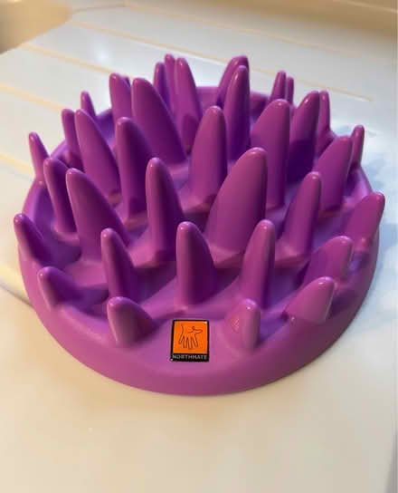 Photo of free Active cat feeder (Toddington) #1