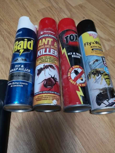 Photo of free Fly, Wasp, Ants killer sprays (Harlesden) #2