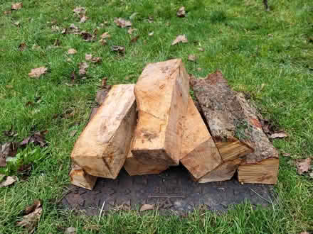 Photo of free Fire logs (Welwyn Garden City AL7) #1