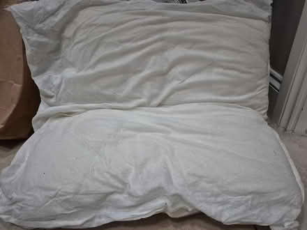 Photo of free Pillow x 2 - 55cm square (Friern Barnet N11) #4