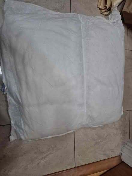 Photo of free Pillow x 2 - 55cm square (Friern Barnet N11) #1