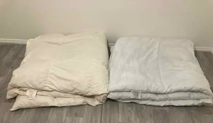 Photo of free Duvets x 2 (Weston Favell) #1