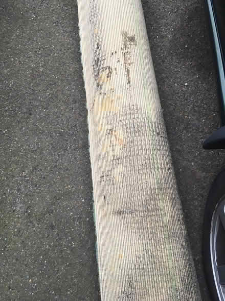 Photo of free Hessian-backed carpet: allotment? (Centurion Rise, Hastings TN34) #1