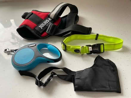 Photo of free Accessories for medium sized dog (Killiney, Co Dublin) #1