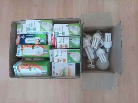 Photo of free energy saving lightbulbs (compact fluorescent bulbs) (Henlow SG16) #2