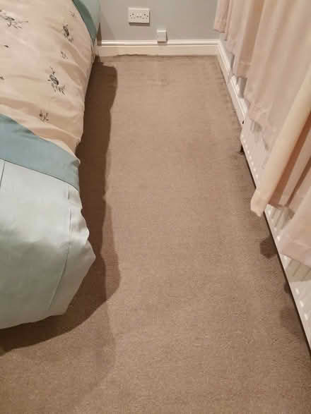 Photo of free Carpet (Brandwood End B14) #1