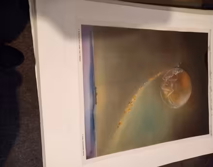 Photo of free Photographic prints on film (IP1) #3
