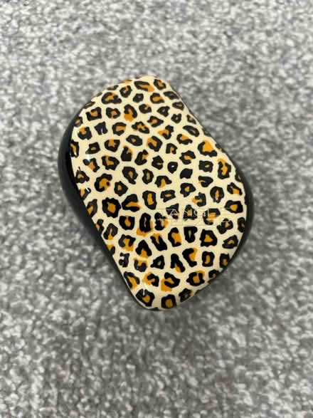 Photo of free Tangle teaser brush (Beauchief S8) #1